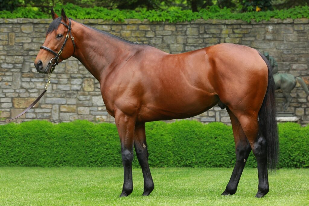 Coolmore America | Home Of Champions Experience - Coolmore America