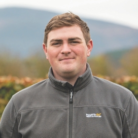 David Keegan