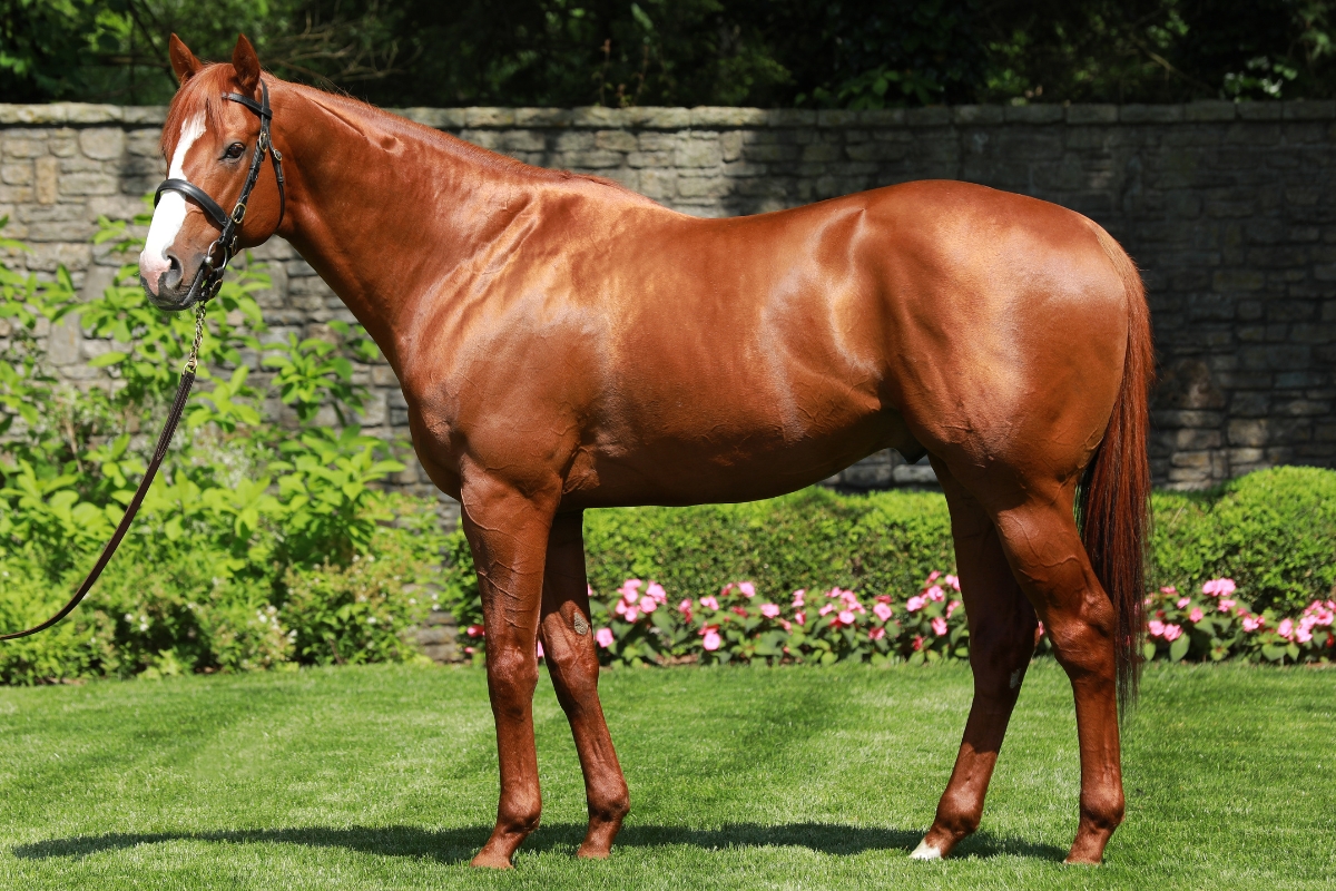 Justify