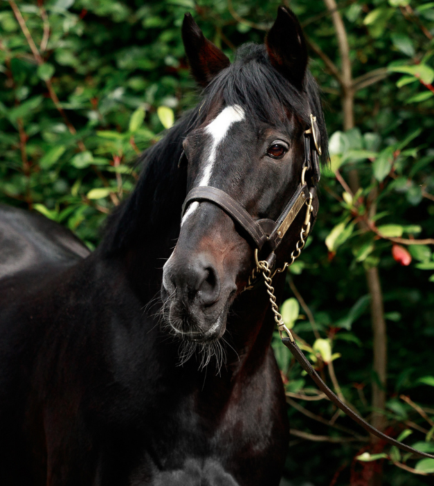 Feature image