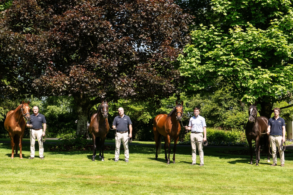 About Us | Farms私たちについて - Coolmore