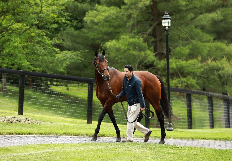 About Time First Stakes Winner of Year for American Pharoah - Coolmore