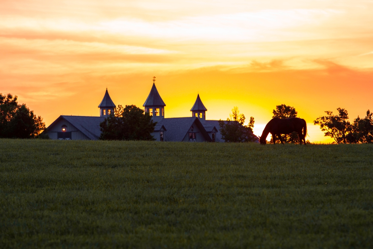 私たちについて - Coolmore