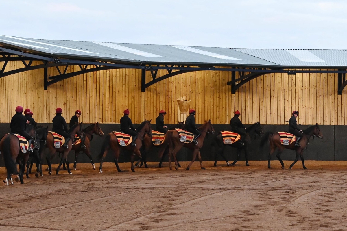 Ballydoyle Gallery 16
