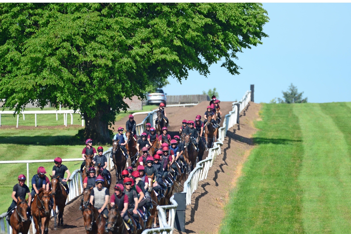 Ballydoyle Gallery 2