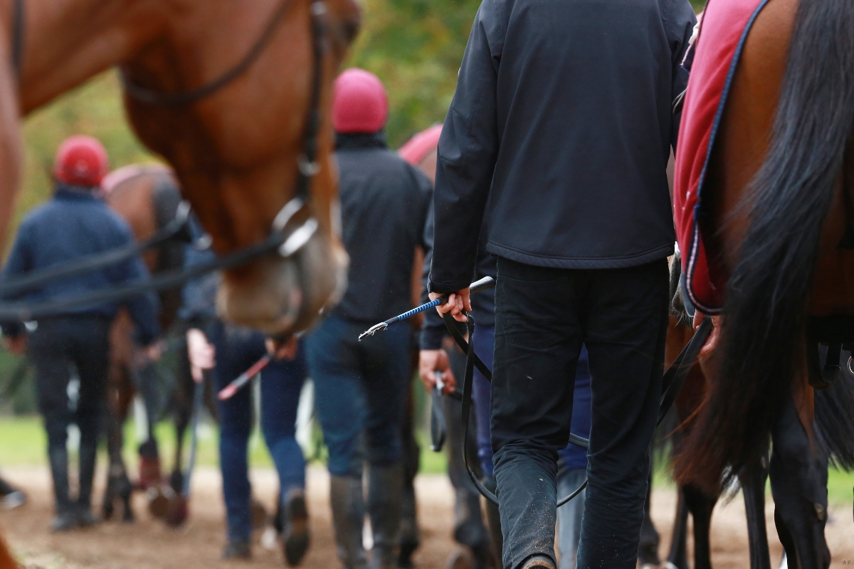 Ballydoyle Gallery 5