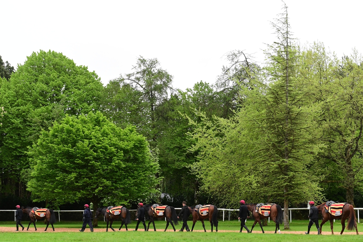 Ballydoyle Gallery 9