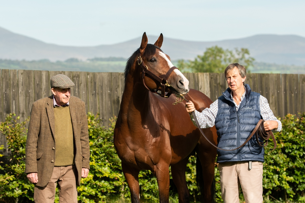 Bobby and Robert McCarthy with In Swoop Gallery National Hunt