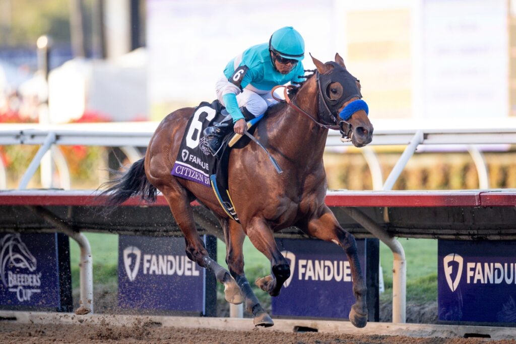 Coolmore America | Home Of Champions Experience - Coolmore America