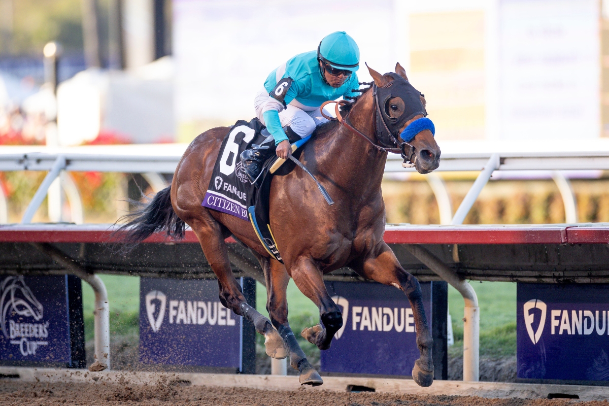 Our American Stallions - Coolmore