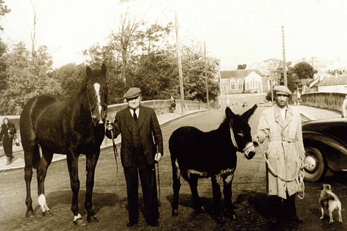 Cottage Rake on the bridge in Fermoy Gallery National Hunt