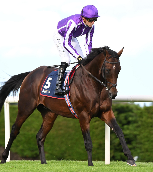 Delacroix Stallion - Coolmore