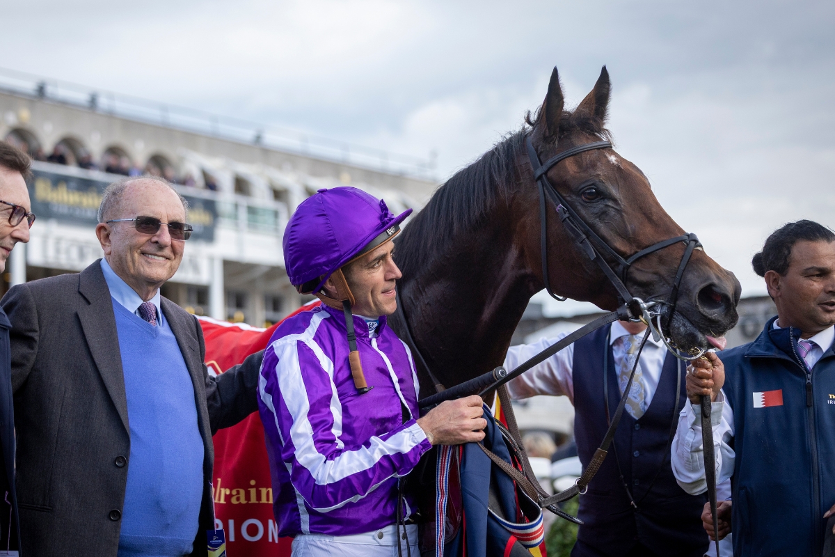 Delacroix Stallion - Coolmore