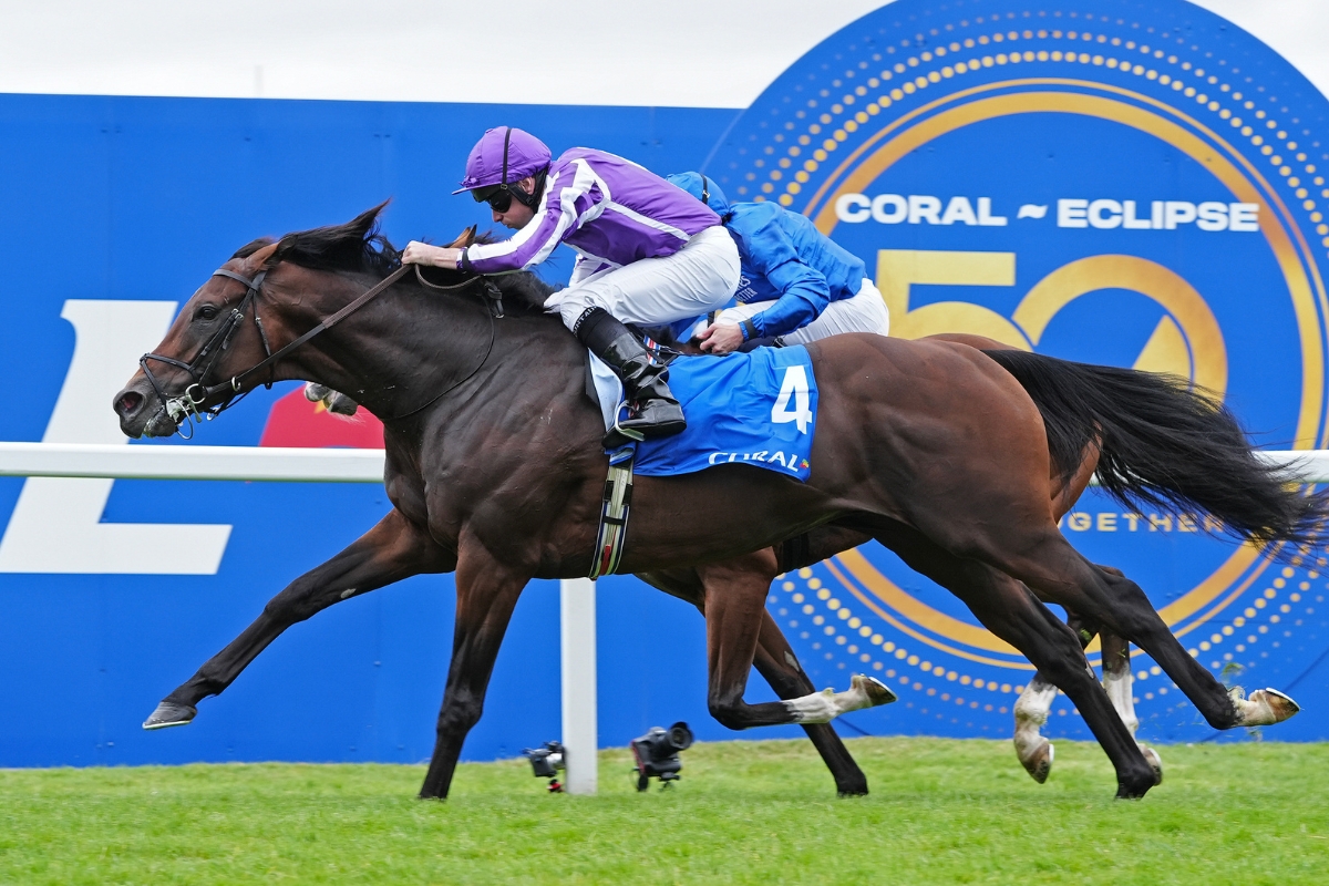 Delacroix Stallion - Coolmore