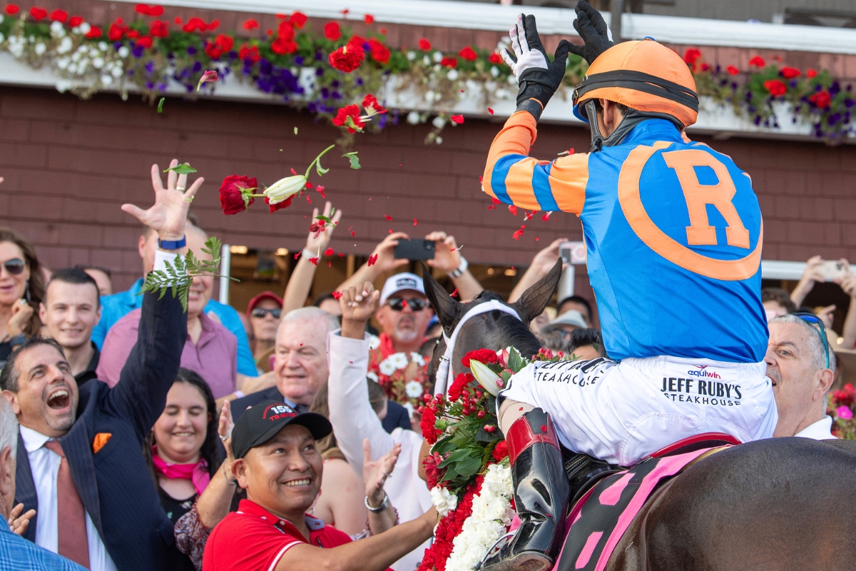 Fierceness Travers Celebration