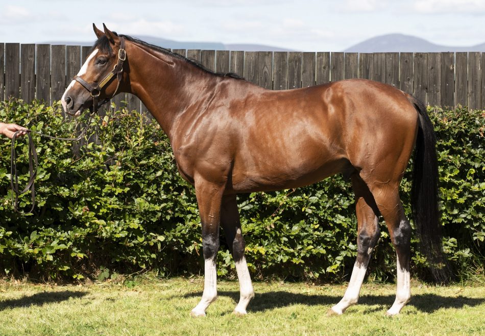 First Winner For In Swoop