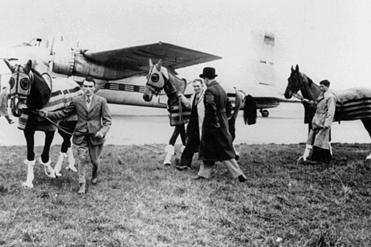 MV O'Brien flies horses to Cheltenham Gallery National Hunt