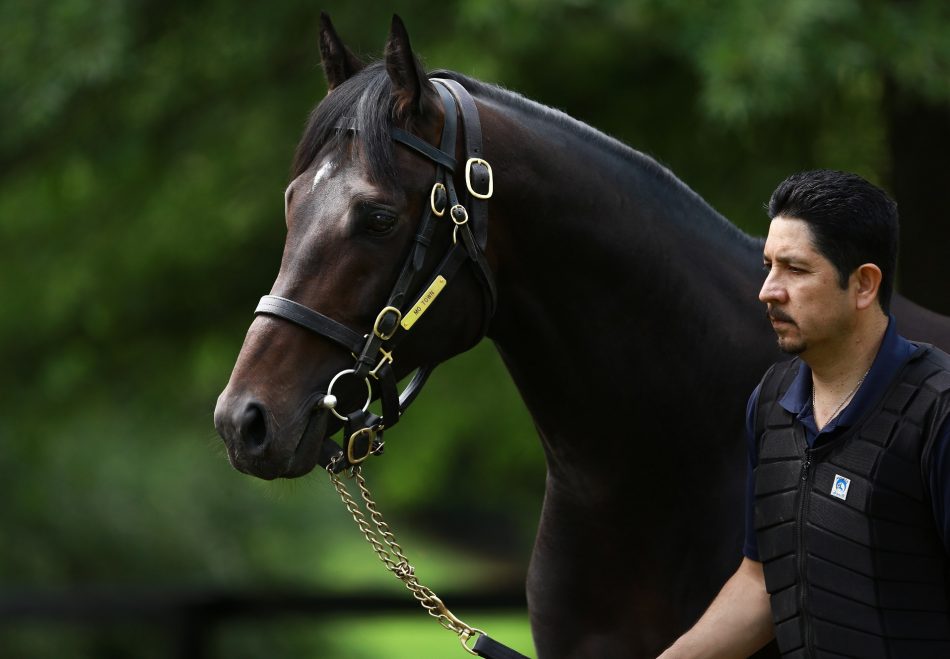 Mo Town’s Scorching Wins Second Stakes in Cup and Saucer - Coolmore