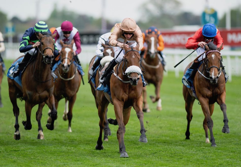 No Nay Never Filly Back To Best In Listed Sprint - Coolmore