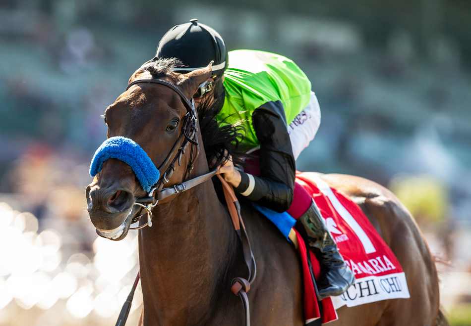 Practical Joke Offerings Popular at Keeneland November | Coolmore