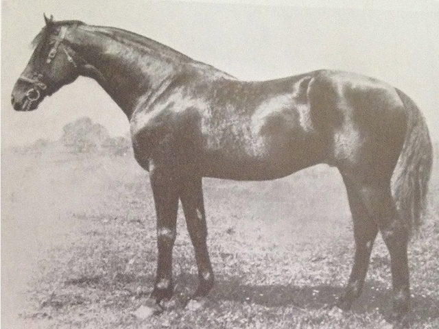 About Us | Farms私たちについて - Coolmore