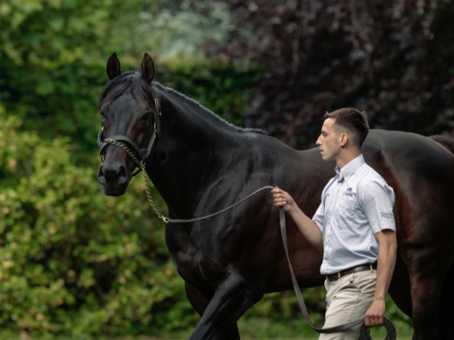 私たちについて - Coolmore