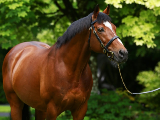 About Us | Farms私たちについて - Coolmore