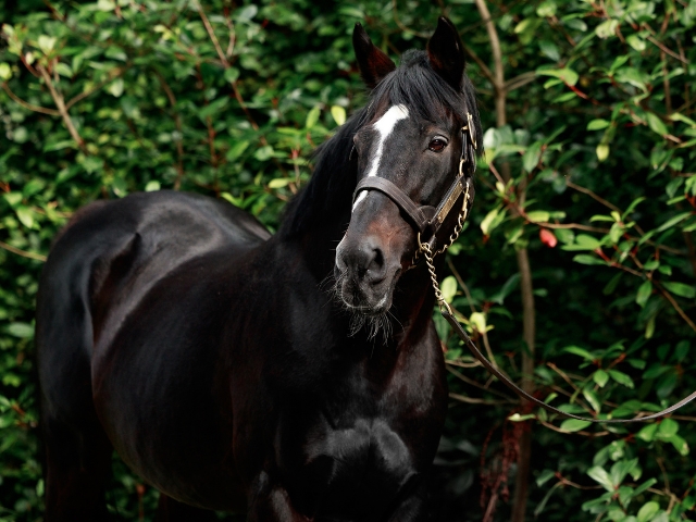 私たちについて - Coolmore