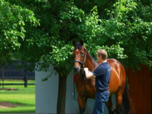 私たちについて - Coolmore