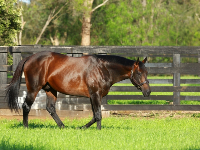 私たちについて - Coolmore