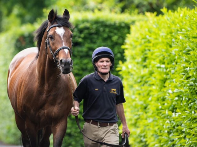 私たちについて - Coolmore