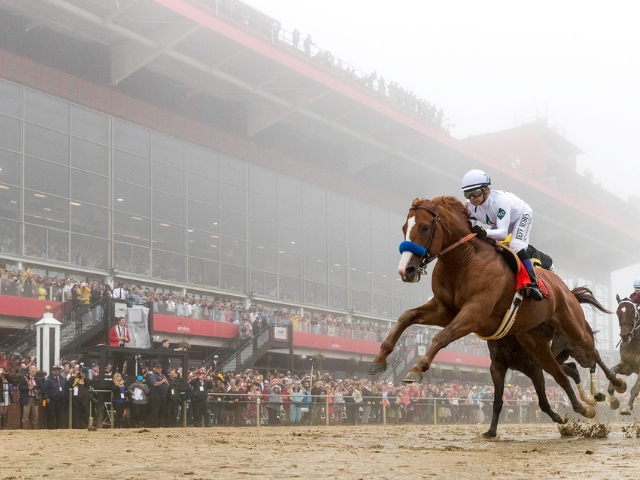 私たちについて - Coolmore