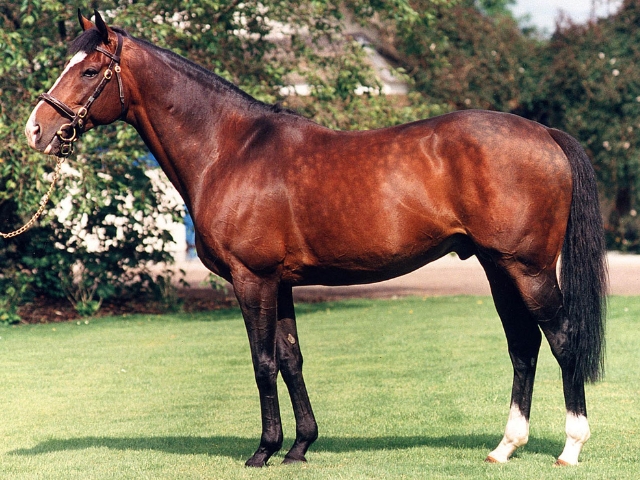 About Us | Farms私たちについて - Coolmore