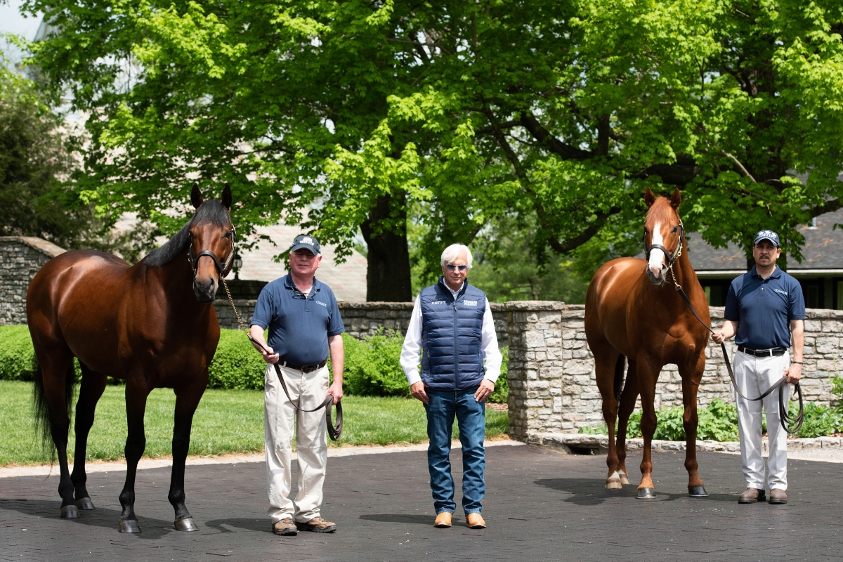 Two Triple Crown Winners, One Farm Gallery America