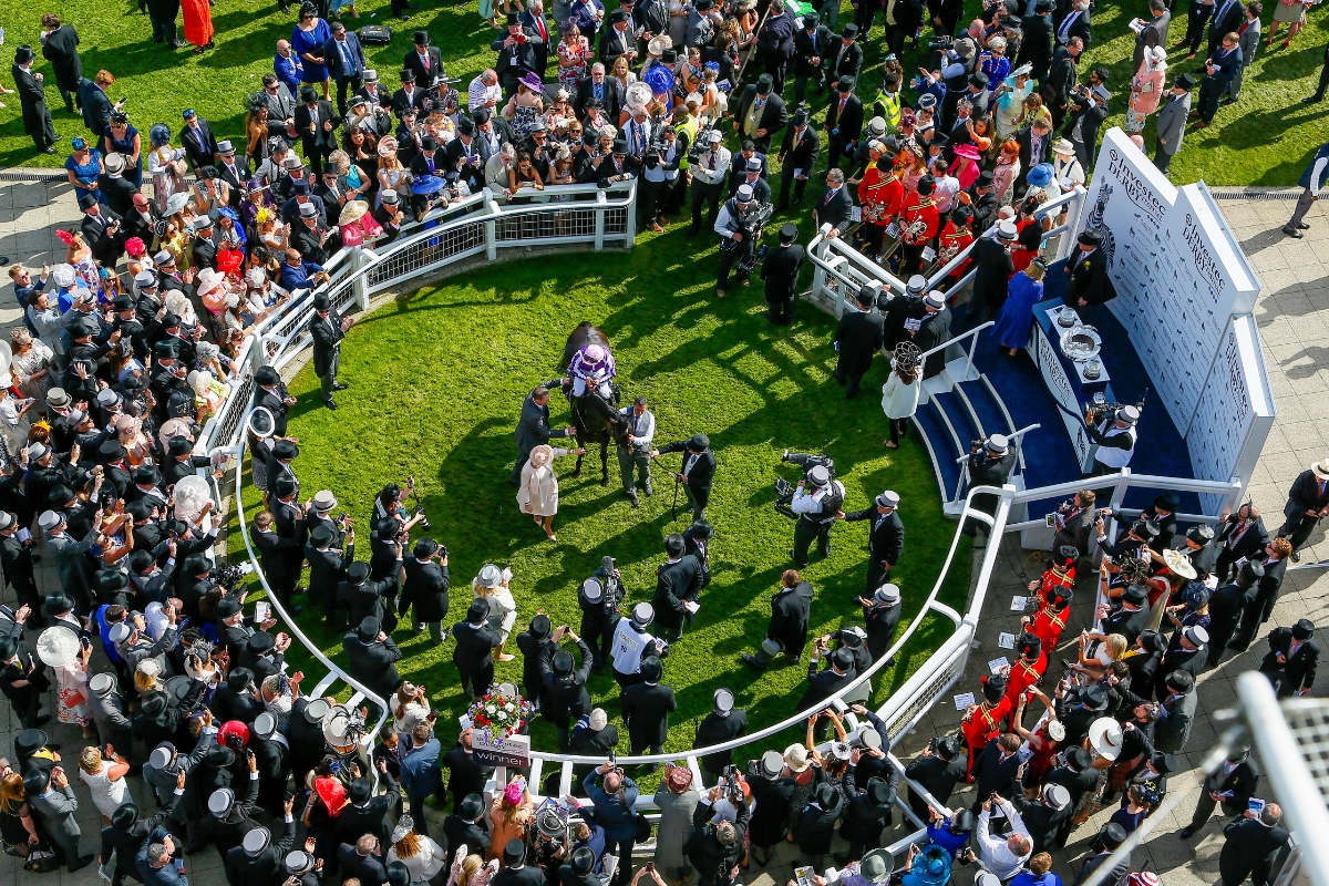 Wings Of Eagles Epsom Derby Winners Circle Gallery National Hunt