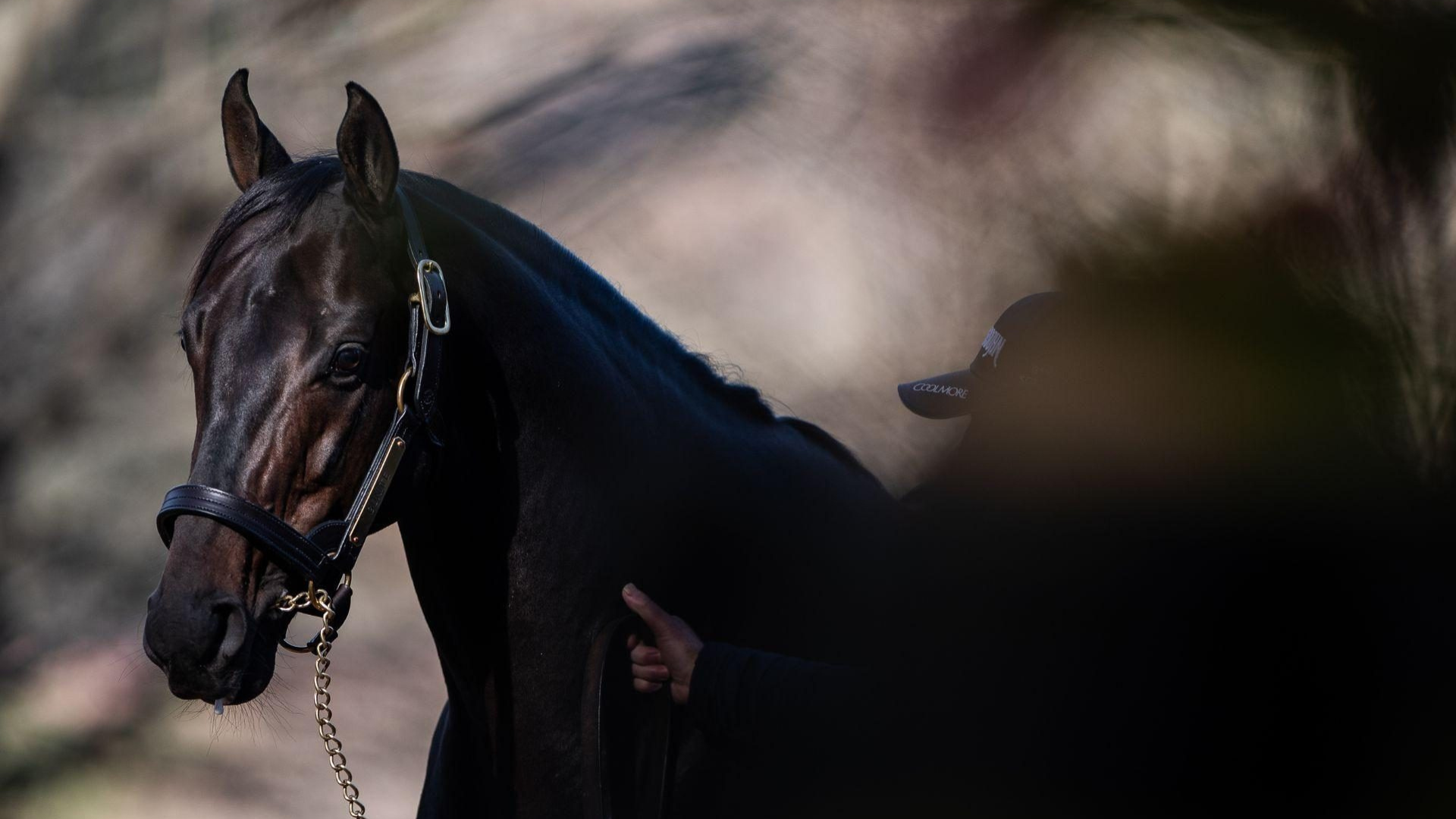 Jack Christopher Carries Momentum into Keeneland September - Coolmore