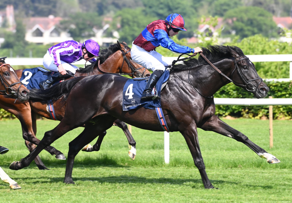 Los Angeles To Stud For 2026 | Coolmore