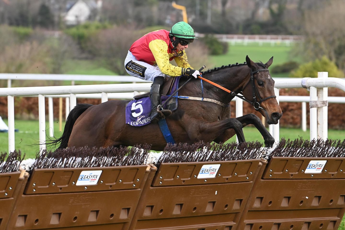 Progressive Maxios Mare Captures Leopardstown Listed Win
