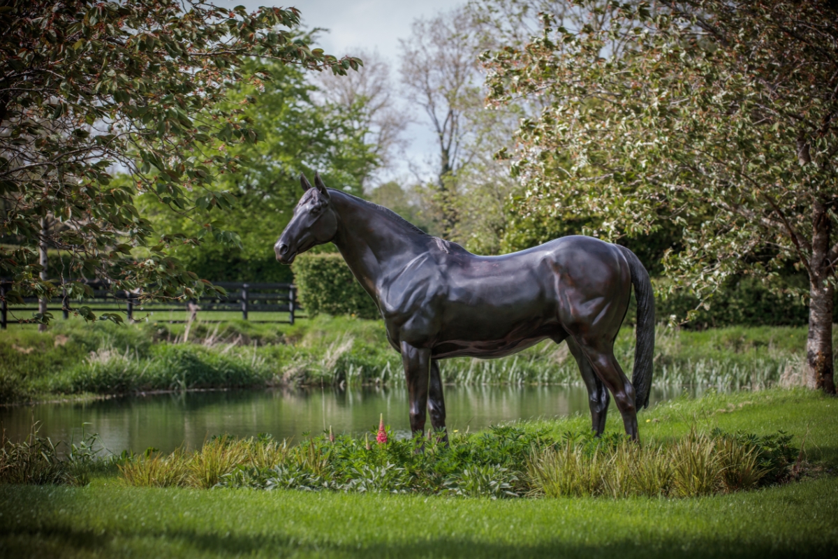 Deep Run Ireland Gallery