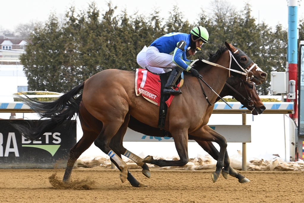 Ascendancy Registers Second Stakes Victory - Coolmore