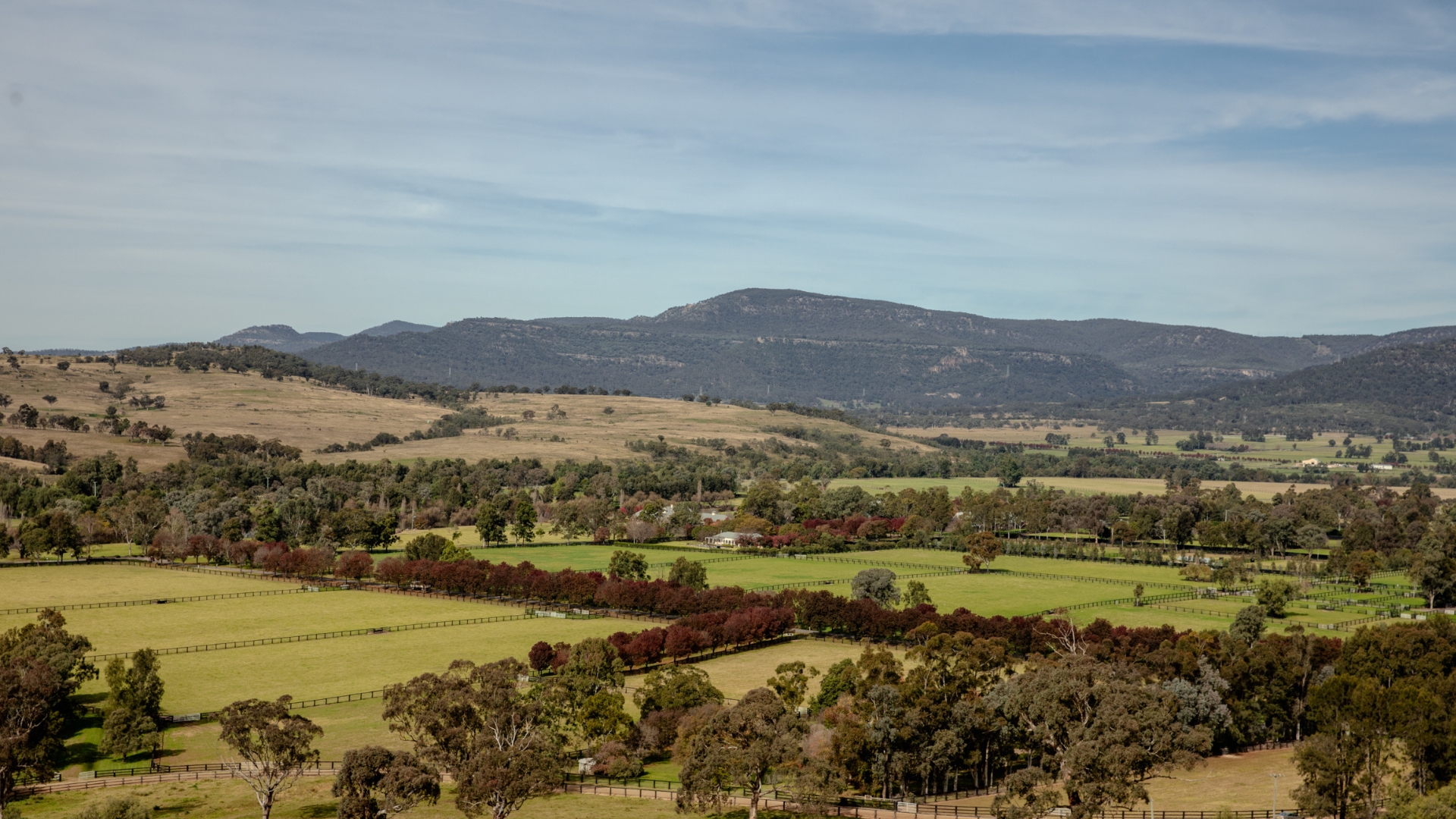 MT WHITE FARM 7