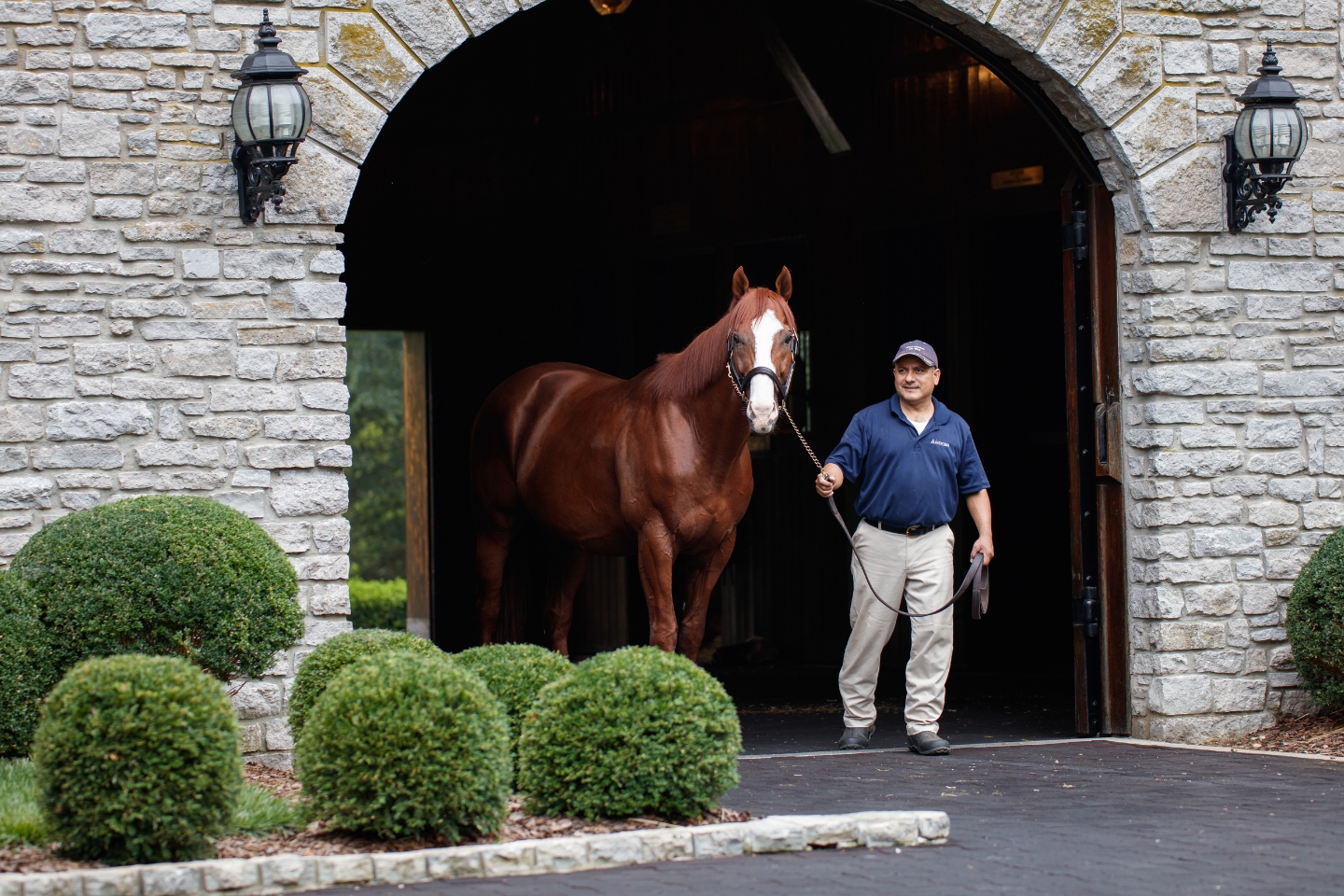 Munnings News Story 1