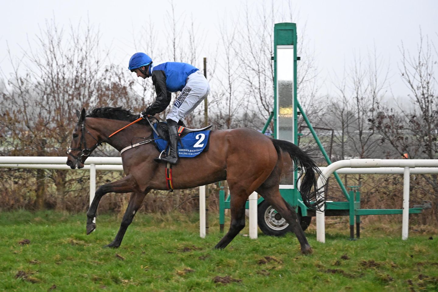 Crystal Ocean Gelding Captures Impressive Limerick Win | Coolmore