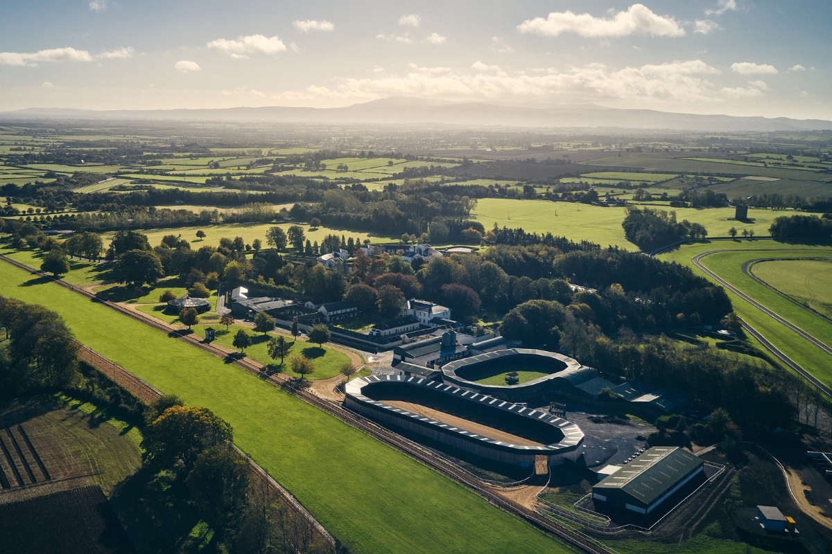 Ballydoyle Gallery 7