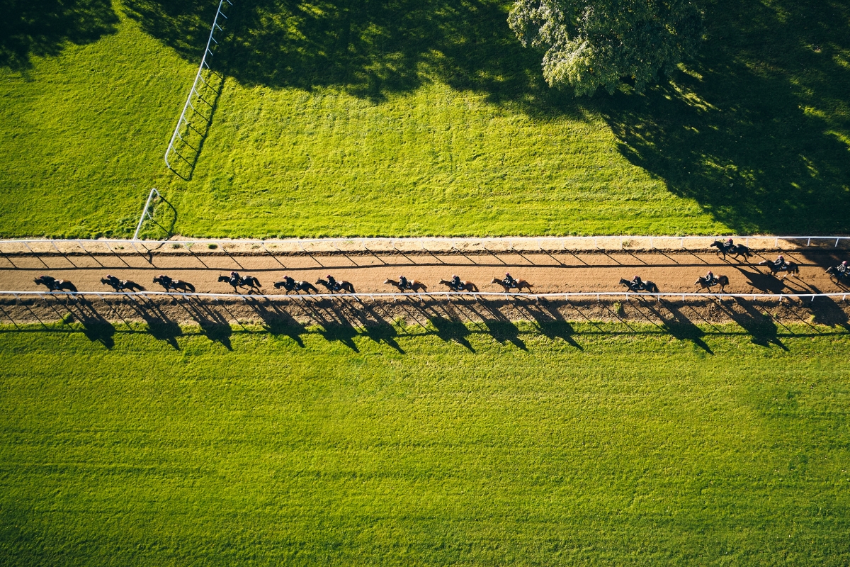 Ballydoyle Gallery 8