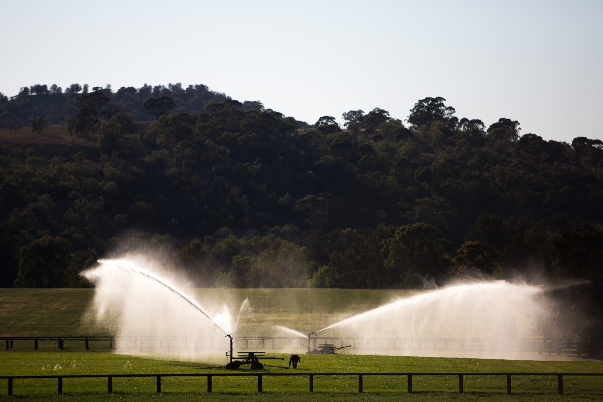 Coolmore Australia Gallery (11)