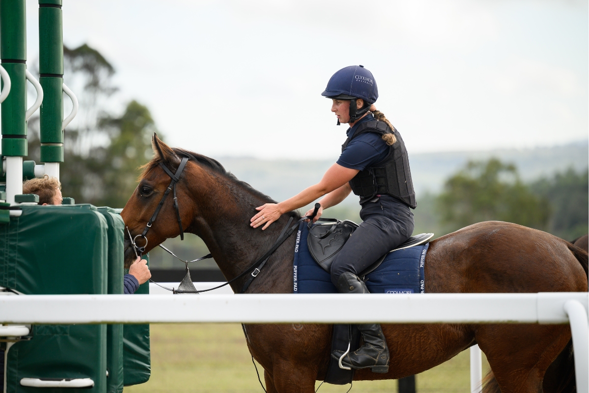 Coolmore Australia Gallery (3)