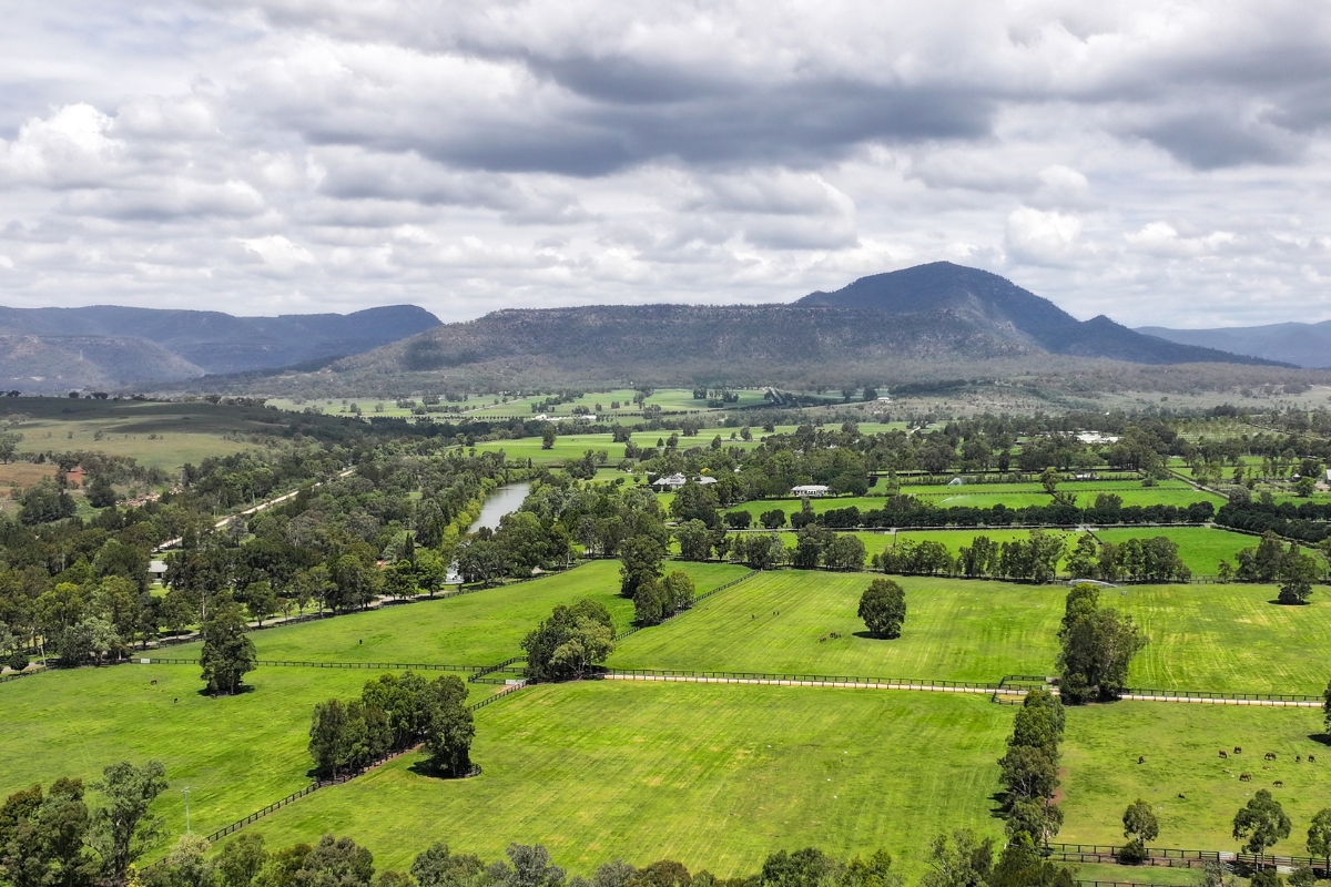 Coolmore Australia Gallery (9)