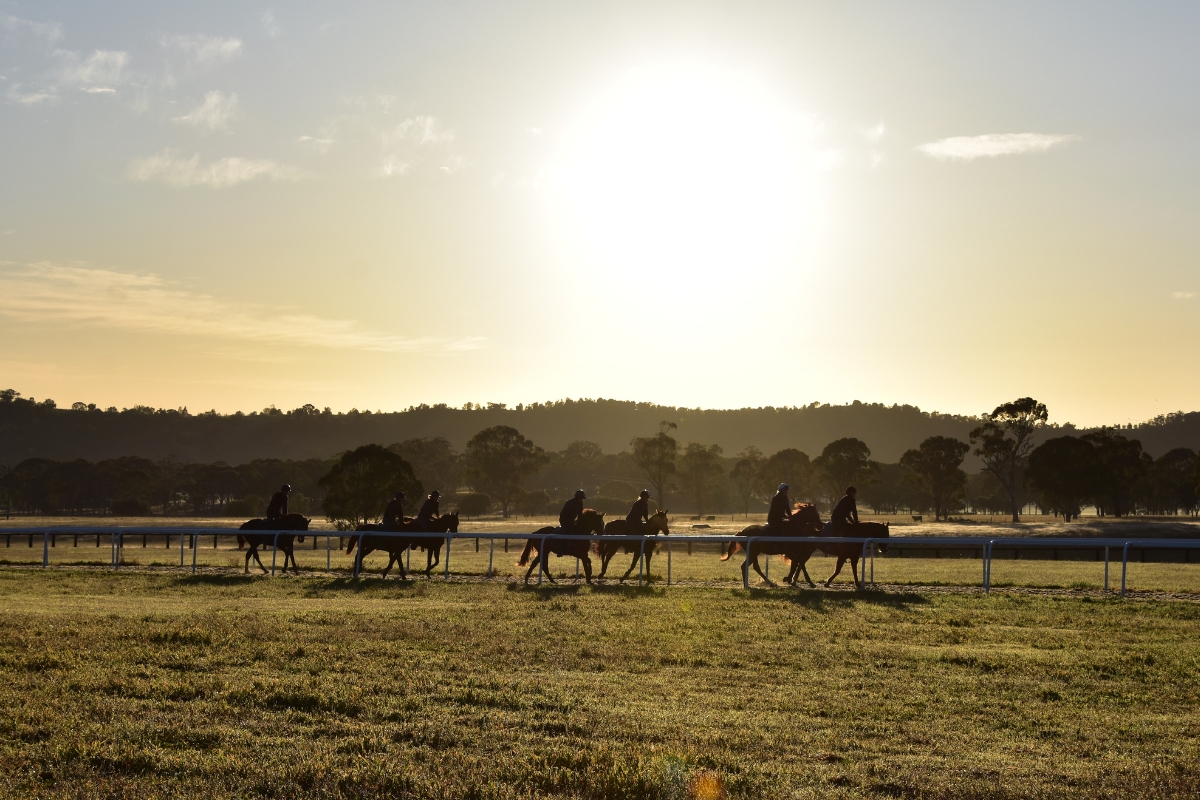 Coolmore Australia Gallery