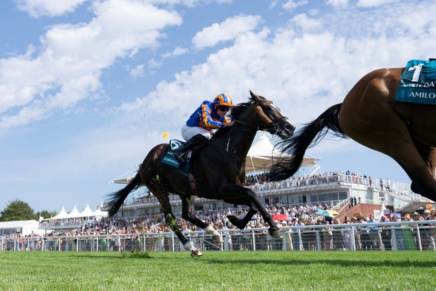 Second Goodwood Cup Victory For Champion Scandinavia | Coolmore